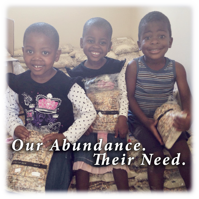 South_Africa_Abundance_Need
