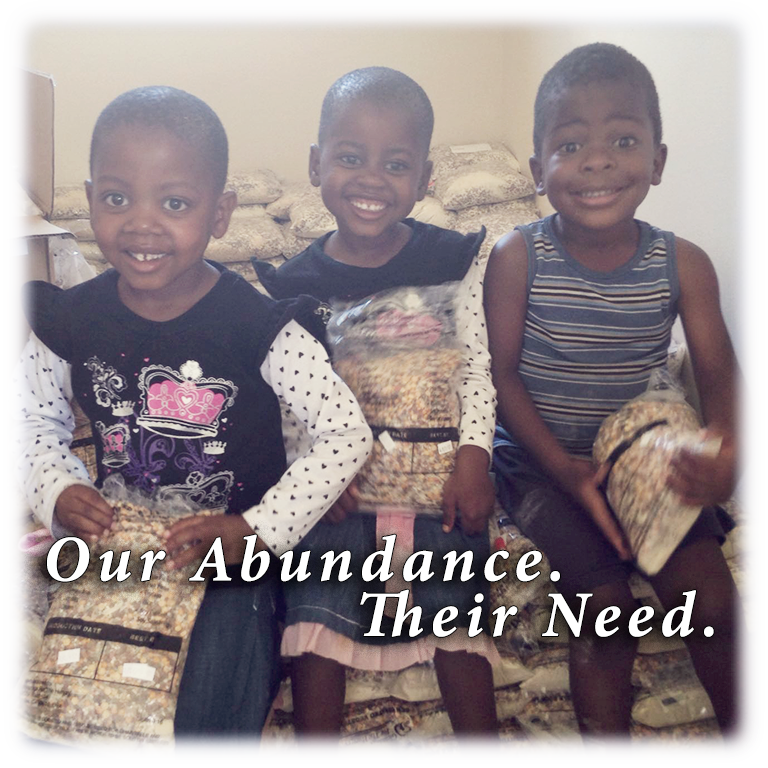 South_Africa_Abundance_Need